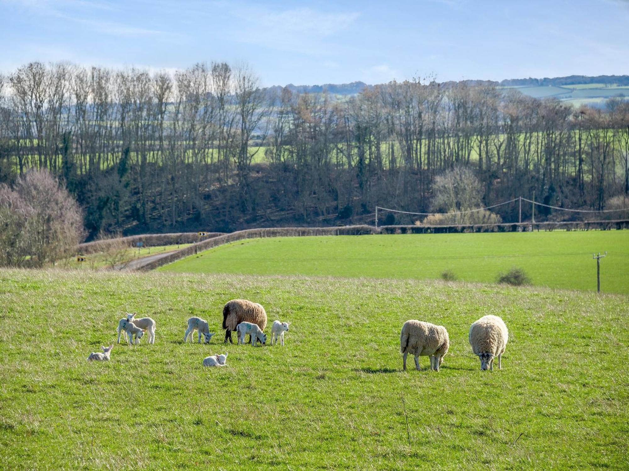 Vila Marilyn Meadows St Weonards Exteriér fotografie